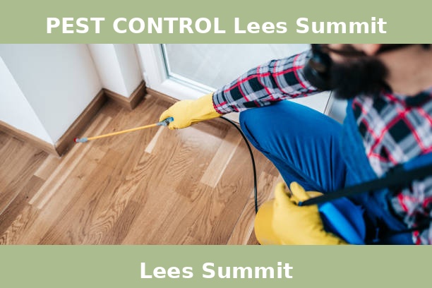 PEST CONTROL Lees Summit